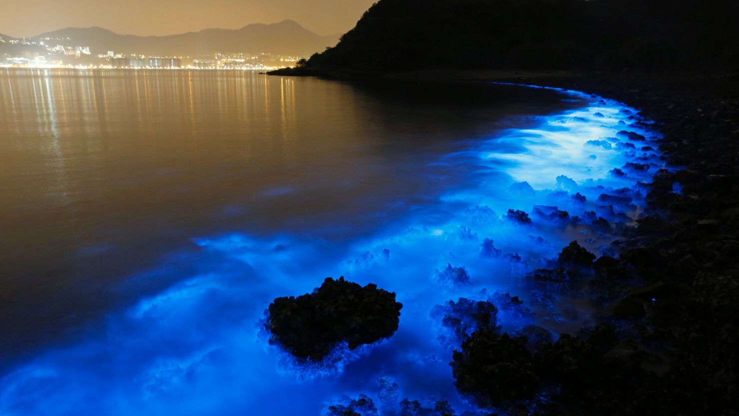 A long exposure photo from January 22, 2015 shows the glow from a Noctiluca scintillans algal bloom along the seashore in Hong Kong.