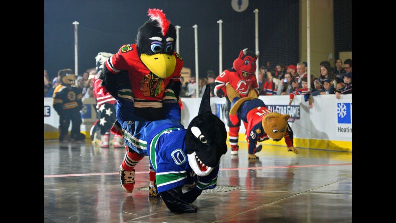 NHL mascots compete in a wheelbarrow race during All-Star Weekend festivities Saturday, January 24, in Columbus, Ohio. In the foreground is the team of Tommy Hawk (Chicago Blackhawks) and Fin the Whale (Vancouver Canucks). At right are N.J. Devil (New Jersey Devils) and Stanley C. Panther (Florida Panthers).