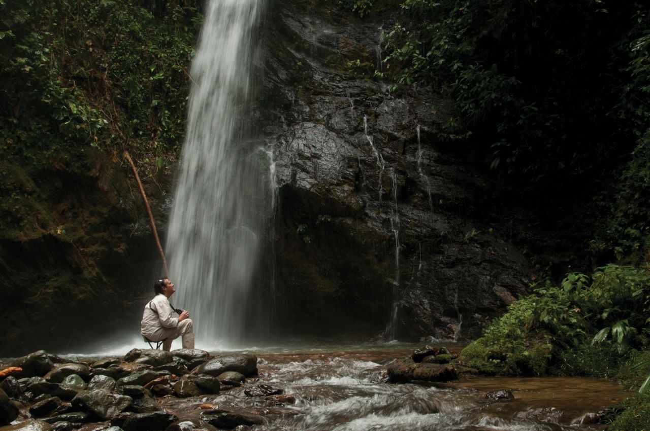 The Mashpi Rainforest Biodiversity Reserve in the western Andes is home to several rivers that form gorgeous waterfalls and pools. An estimated 500 species of bird inhabit the surrounding forest.