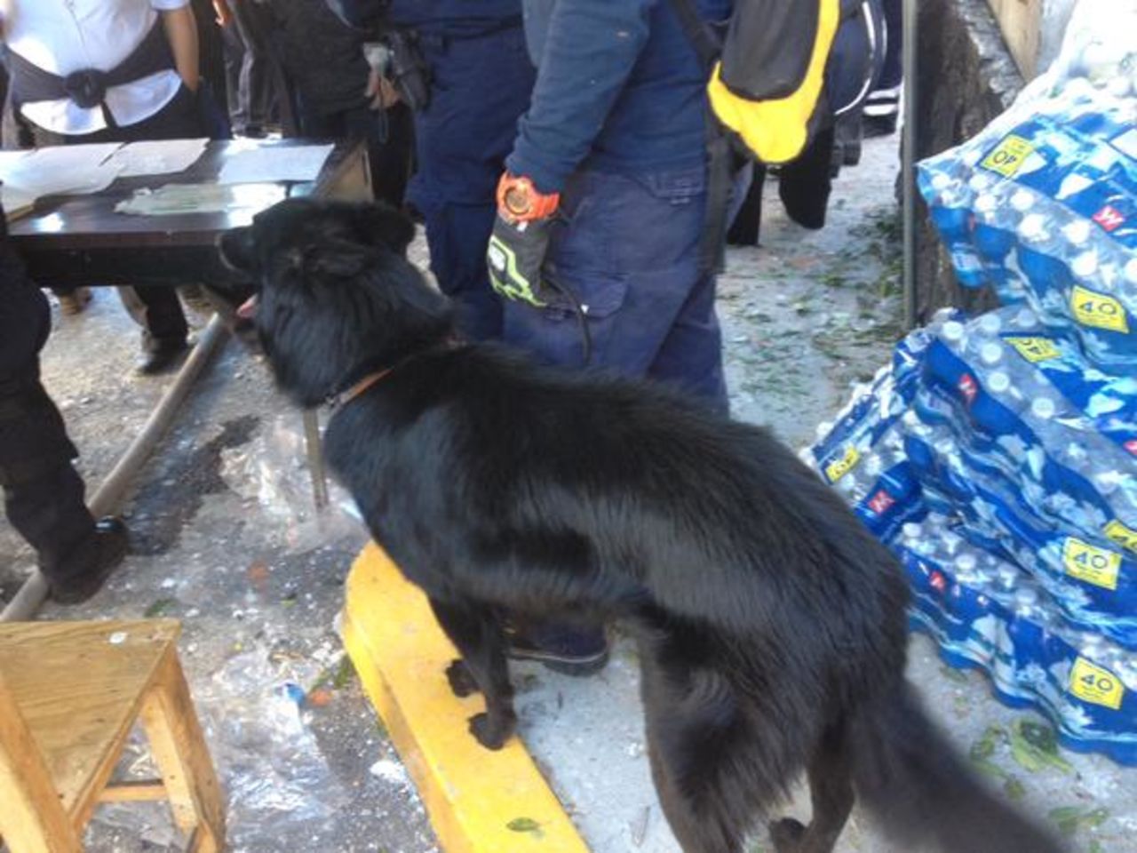 Rescatistas con perros adiestrados se hicieron presentes en el lugar para brindar socorro.