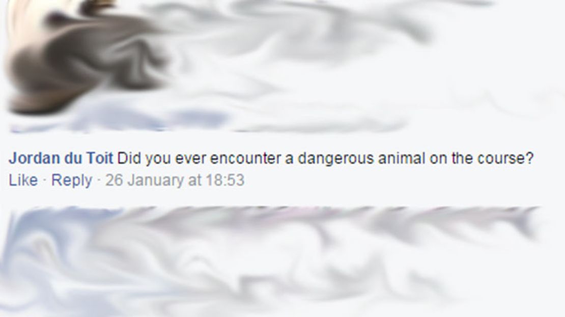 animal facebook comment