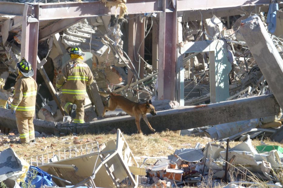 Rescuers and their dogs search the wreckage. There are fears that people might be trapped in the debris.