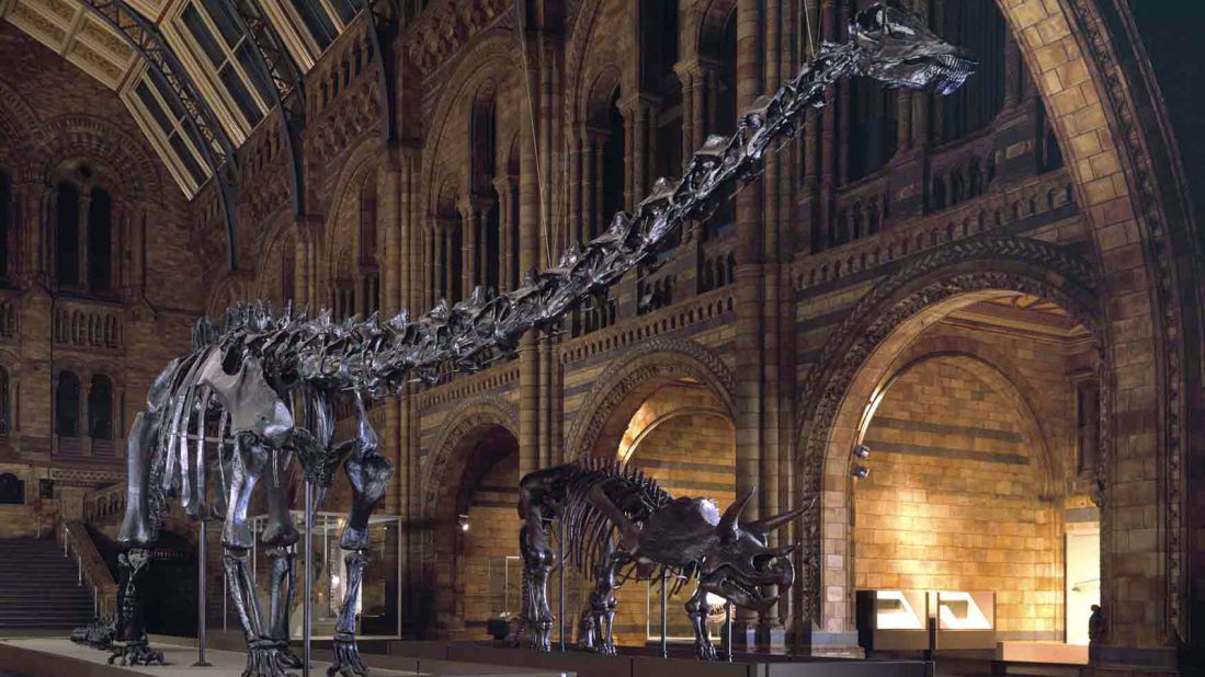 Dippy, actually a cast of fossils dug up in Wyoming in 1898, has been part of the museum's collection for more than a century.