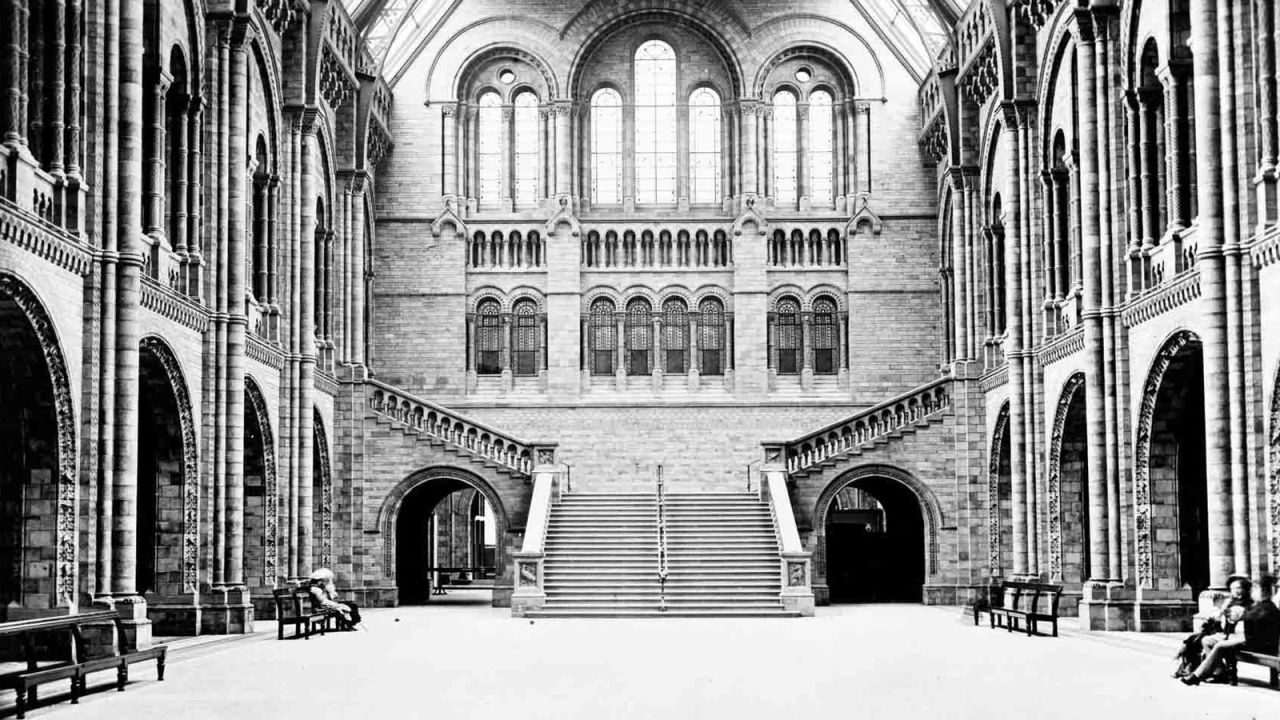 Hintze Hall is the National History Museum's central atrium and best exhibition space. It was designed by the architect Alfred Waterhouse and opened, along with the rest of the museum, in 1881.