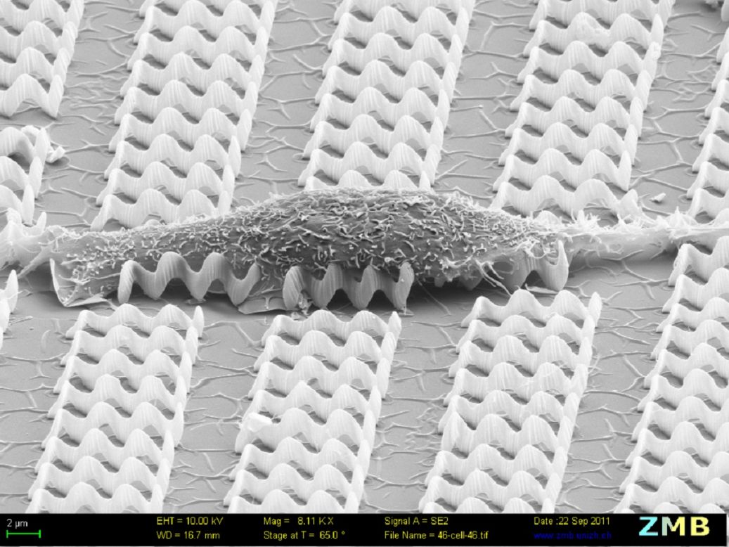 Una célula muscular sobre una cama de nanobots.   