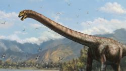 This illustration shows what the newly discovered long-necked dinosaur may have looked like.