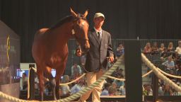 spc winning post horse auction_00002214.jpg