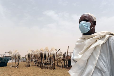 A farmer wears a mask as he works near camels at his farm outside Riyadh, Saudi Arabia, to avoid spreading the Middle East Respiratory Syndrome coronavirus (MERS-CoV). Since Spring 2012, MERS-CoV spread slowly in the Middle East but has now reached 25 countries, with an outbreak currently in South Korea.