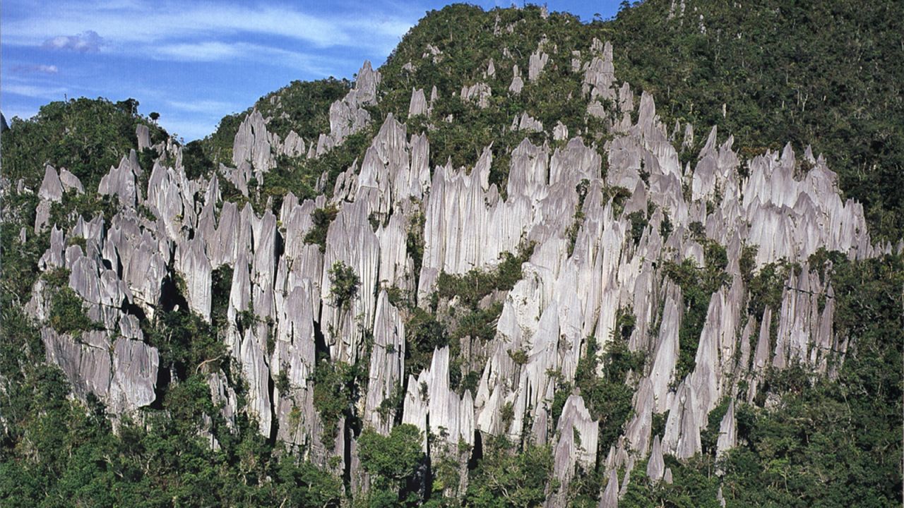 Gunung Mulu, a 2,377-meter-high sandstone pinnacle, dominates the park named after it. Within the park are at least 295 kilometers of spectacular caves with caverns. The largest is the Sarawak Chamber, which is 80 meters high.