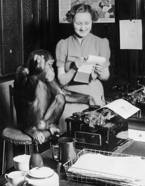 The "infinite monkey theorem" states that given enough time, a monkey will eventually type any given text on a keyboard, including William Shakespeare's whole body of work.