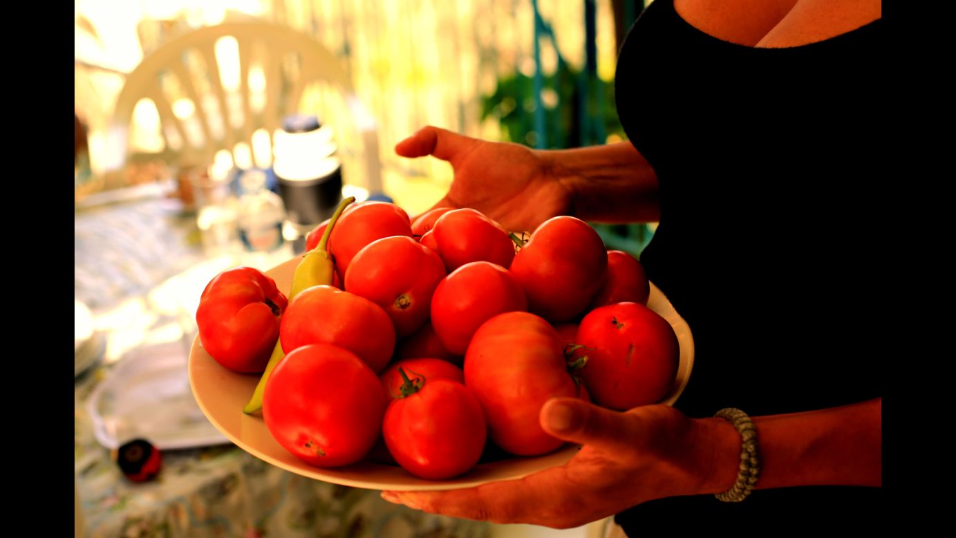 Part of the traditional Ikarian diet: fresh tomatoes from the garden.