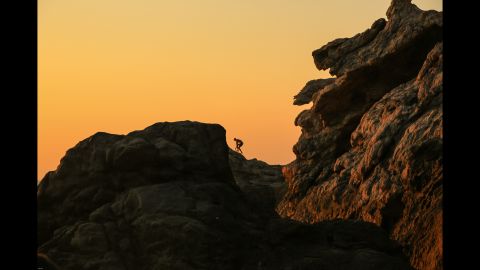 A climber navigates the rocky ridges above Artemis' Cove.