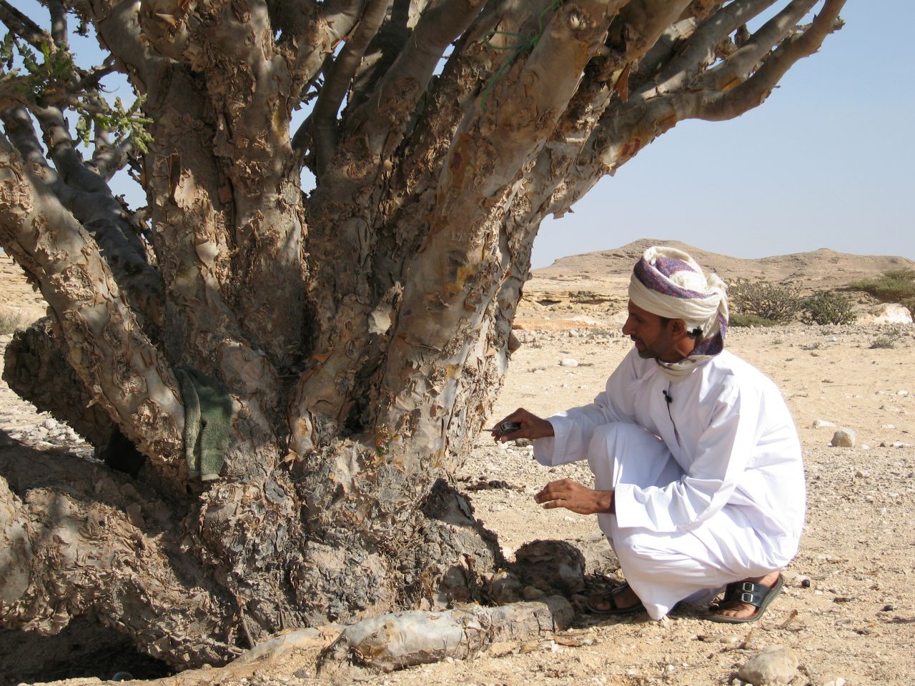 Unlike the rest of Oman, Salalah's summer temperatures are actually tolerable, thanks to the cooling monsoon season. A UNESCO-listed frankincense plantation and biblical sites are among the area's popular attractions.