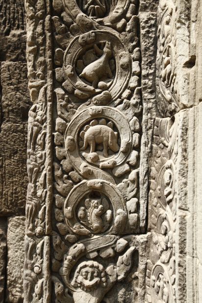 Stegosaurus fossil? Proof that man walked the earth with dinosaurs? You can make your own call at Ta Prohm. The small carving, well-known to most guides, can be found in a doorway with other non-prehistoric creatures, including monkeys and birds. 