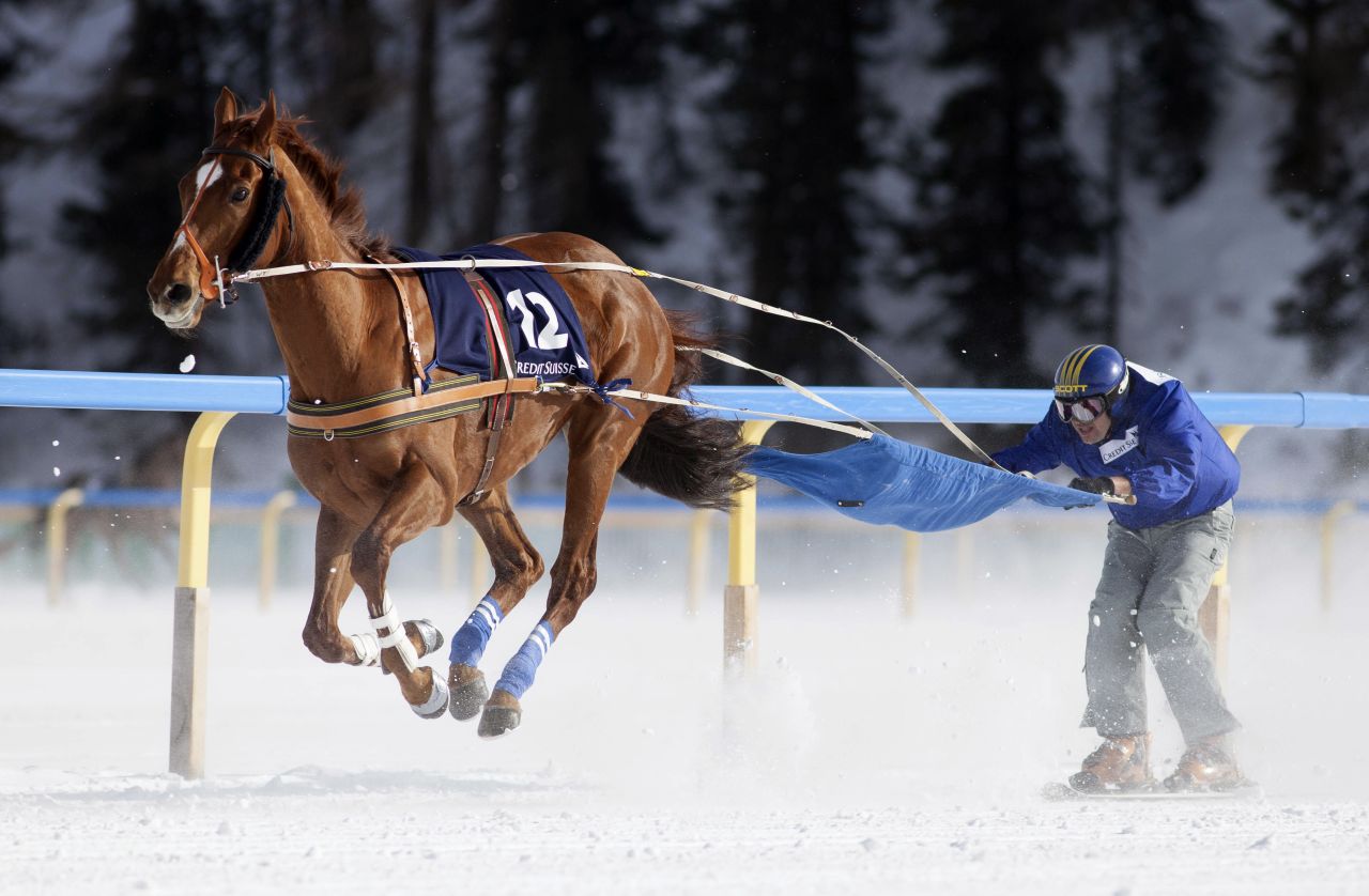 Competitors are pulled along by a horse, dog or, in some cases, motor vehicles while on skis over a variety of different courses.