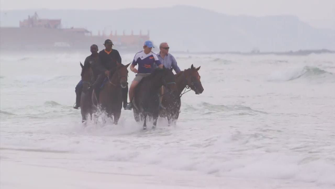 cnnee ag horses and ocean cape town_00000616.jpg