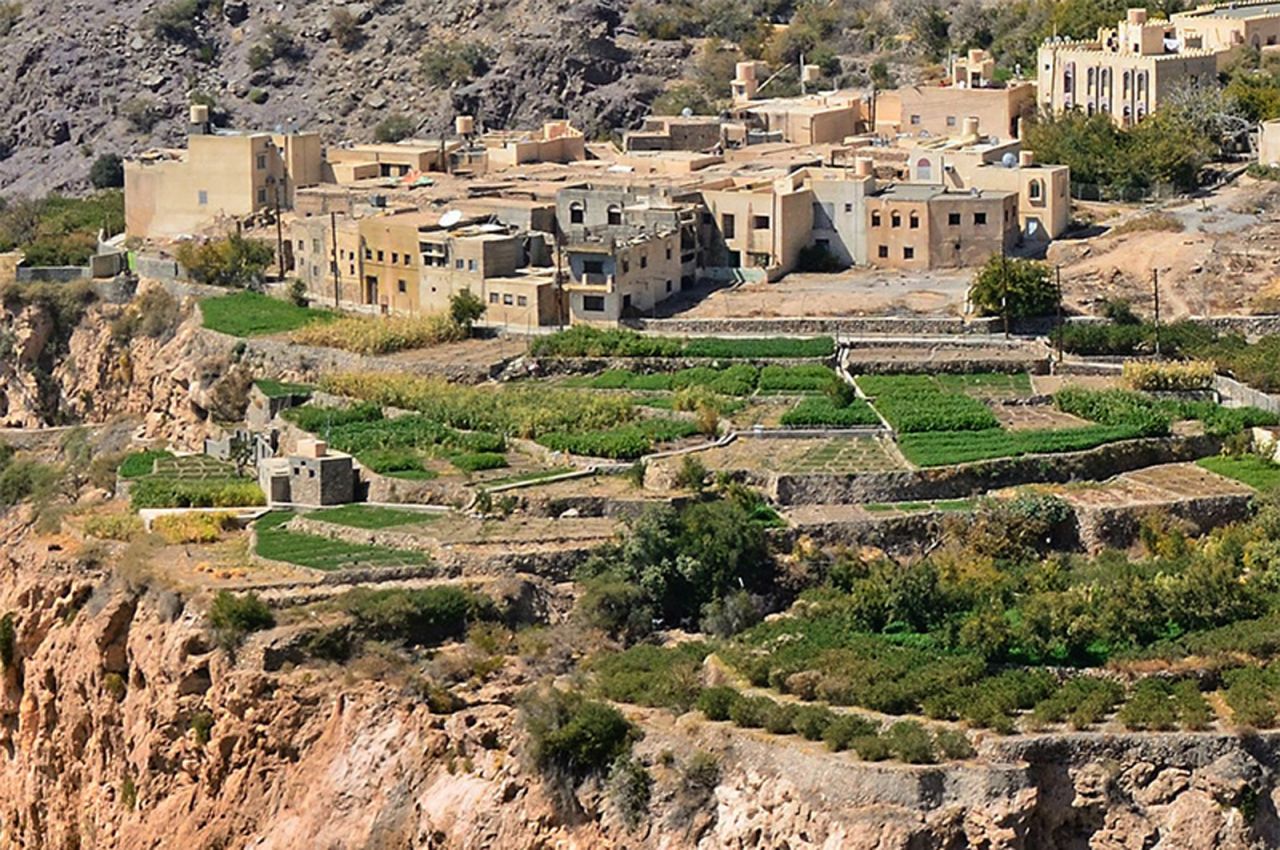 Jebel Akhdar ("The Green Mountain") stands out among the mountain ranges because of its unexpected greenery. Pomegranates, figs, roses, almonds and barley are all grown on its peak. 
