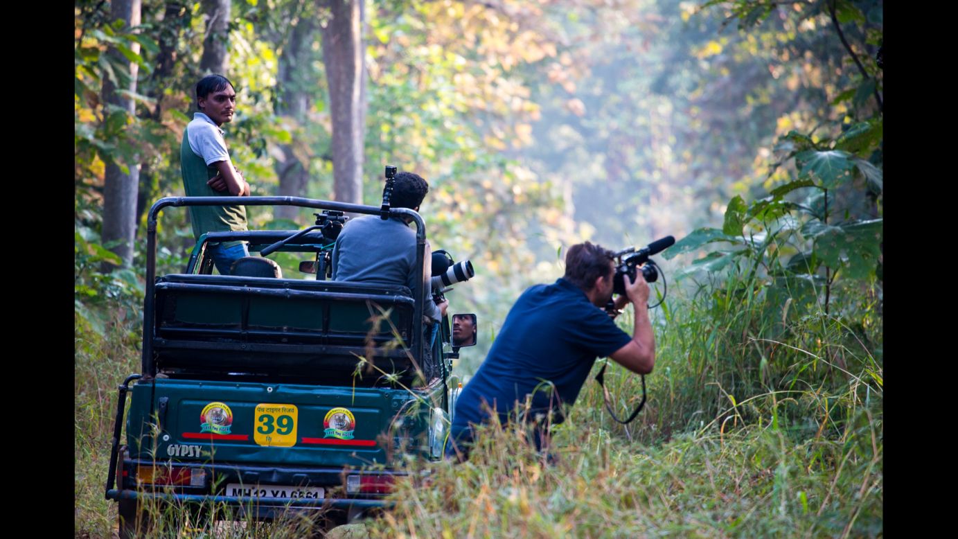 Filmmaker Philip Bloom edges closer to the thicket  while searching for tigers in Pench National Park. A new specialty in conservation is the art of tiger conflict mediation. It is not easy to convince a frightened farmer that the cat that ate his cow is more valuable alive than caged or dead.