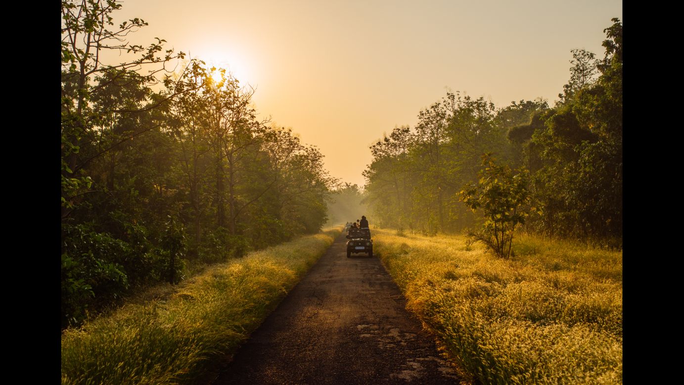 "The Wonder List" crew rolls out on an early-morning game drive in search of tigers at Pench National Park, a wildlife sanctuary in central India.