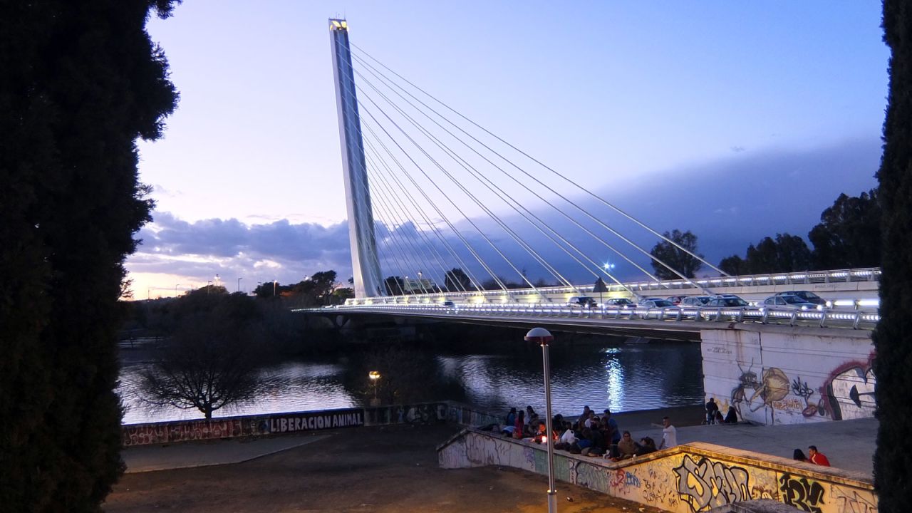Designed by Spanish architect Santiago Calatrava, the spectacular Alamillo Bridge was completed in 1992 to connect the Expo site on the Isla de la Cartuja to the city of Seville. 