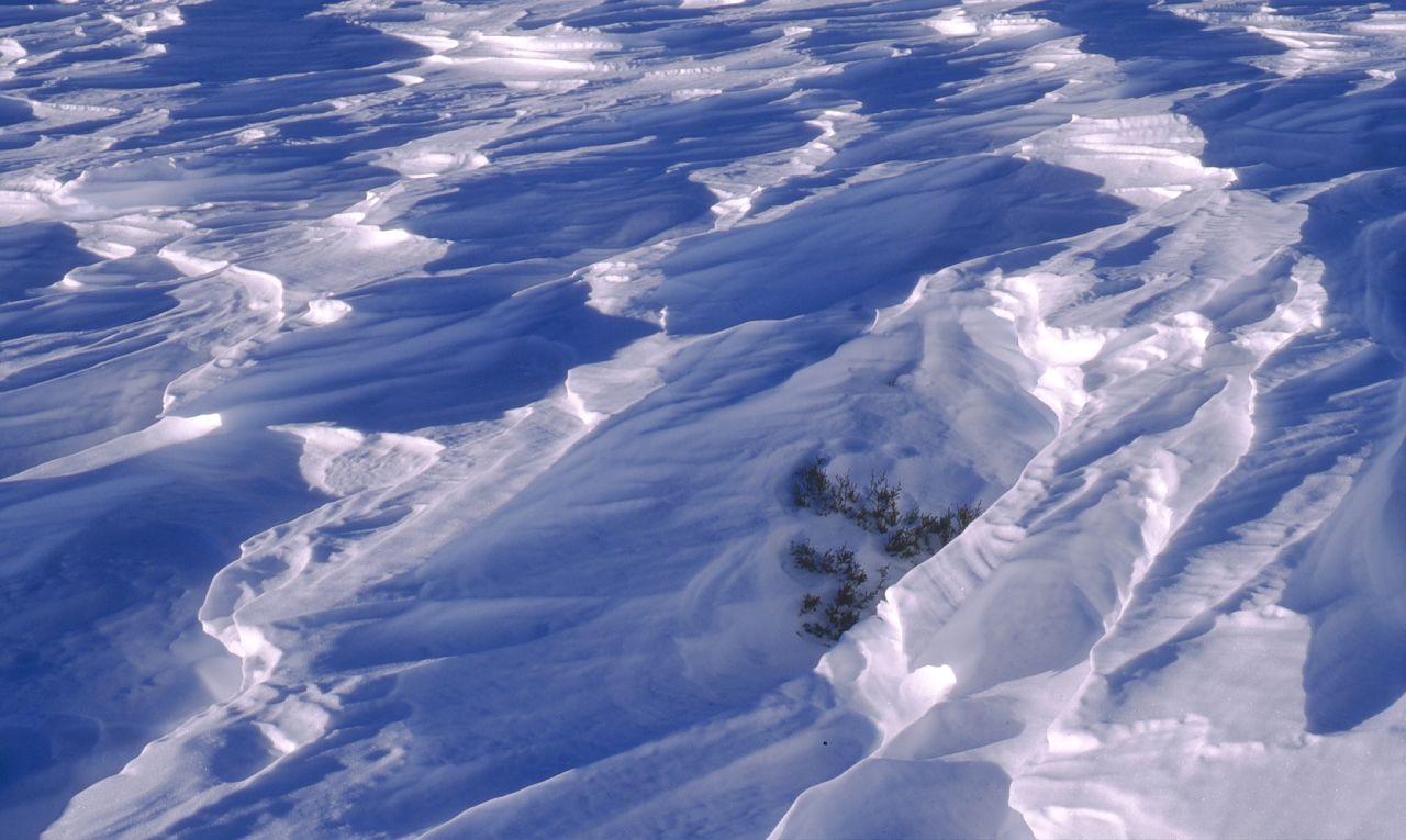Serra da Estrela: Skiing with lines, just not the kind you're used to.