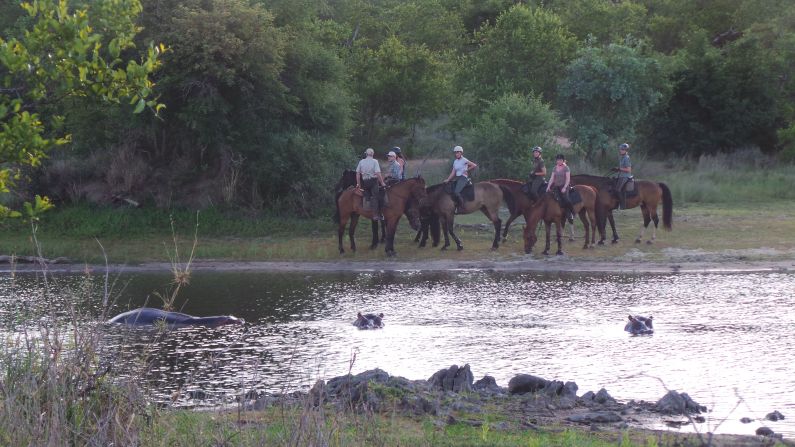 Horseback provides a perfect vantage point to watch hippos wallowing ...