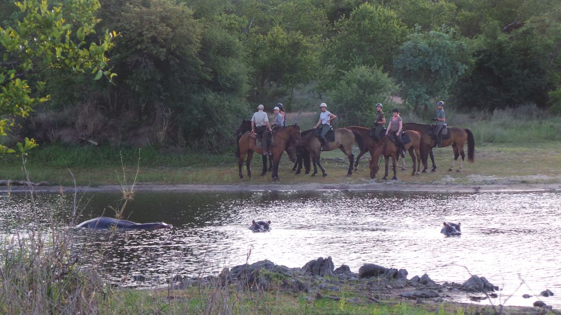 Horseback provides a perfect vantage point to watch hippos wallowing ... 