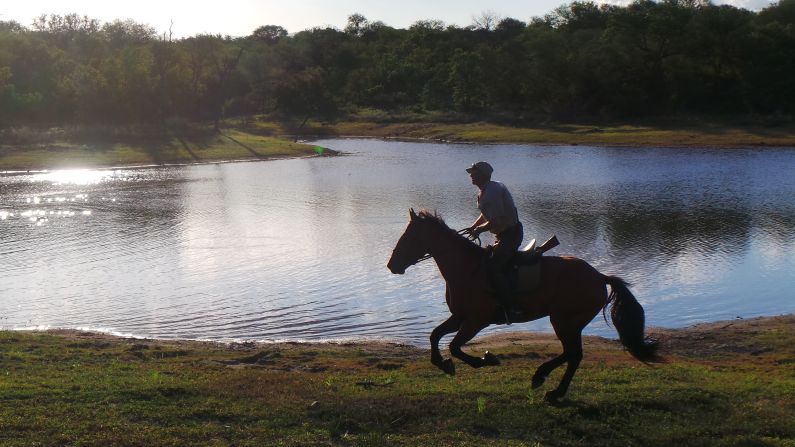 Going out on horseback allows visitors to explore game reserves to the full. Kusseler has around 35,000 hectares of game reserve to ride around with a variety of terrain including lakes, rivers, woodlands and hills.