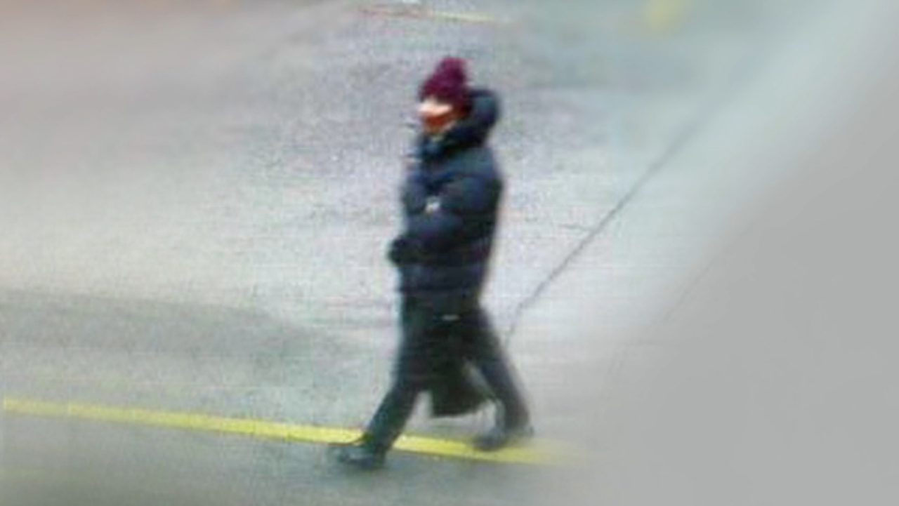 denmark shooting suspect new