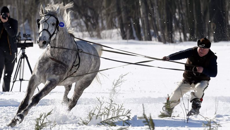 A skier is pulled by a horse Sunday, February 15, during the traditional Kumoterska Gonba race in Bialy Dunajec, Poland.