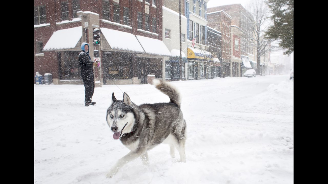 A dog named Ajax prances around the snow-packed, deserted streets of downtown Paducah, Kentucky, on February 16.