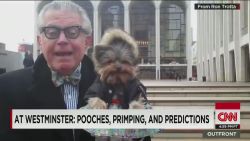 erin dnt moos westminster dog show schmitty weather dog yorkie_00015319.jpg