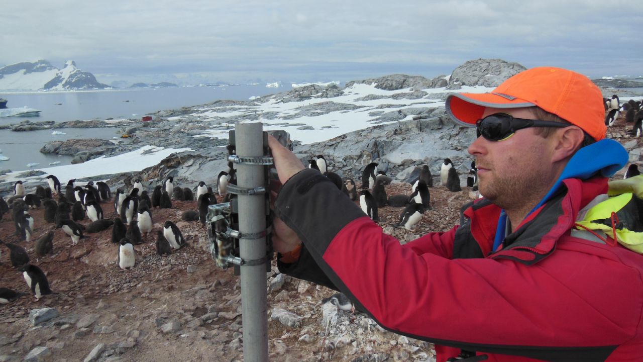 The project was set up by Tom Hart, a researcher in the University of Oxford Department of Zoology. It has international collaborators including the Woods Hole Oceanographic Institute and researchers from the Australian Antarctic Division. Hart is shown here changing camera angles on Petermann Island, Antarctic Peninsula.