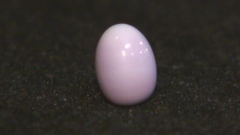 pkg officer finds rare pearl in stew_00004229.jpg