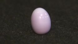 pkg officer finds rare pearl in stew_00004229.jpg