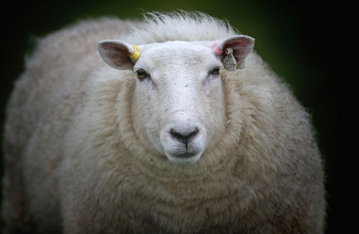 Farmers in Wales are extending the concept of "Internet of Things" to a rural environment.