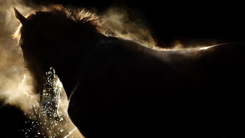 Steam rises from a racehorse as it is hosed down Thursday, February 19, in Horsham, England.