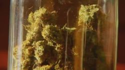 pkg alaska marijuana legalization _00015326.jpg