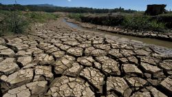 View of the bed of Jacarei river dam, in Piracaia, during a drought affecting Sao Paulo state, Brazil on November 19, 2014. 