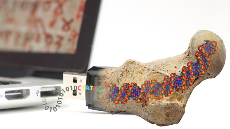 Science is now looking to nature - in particular fossilization - to find the best way to store data in a way that will make it last for millennia.