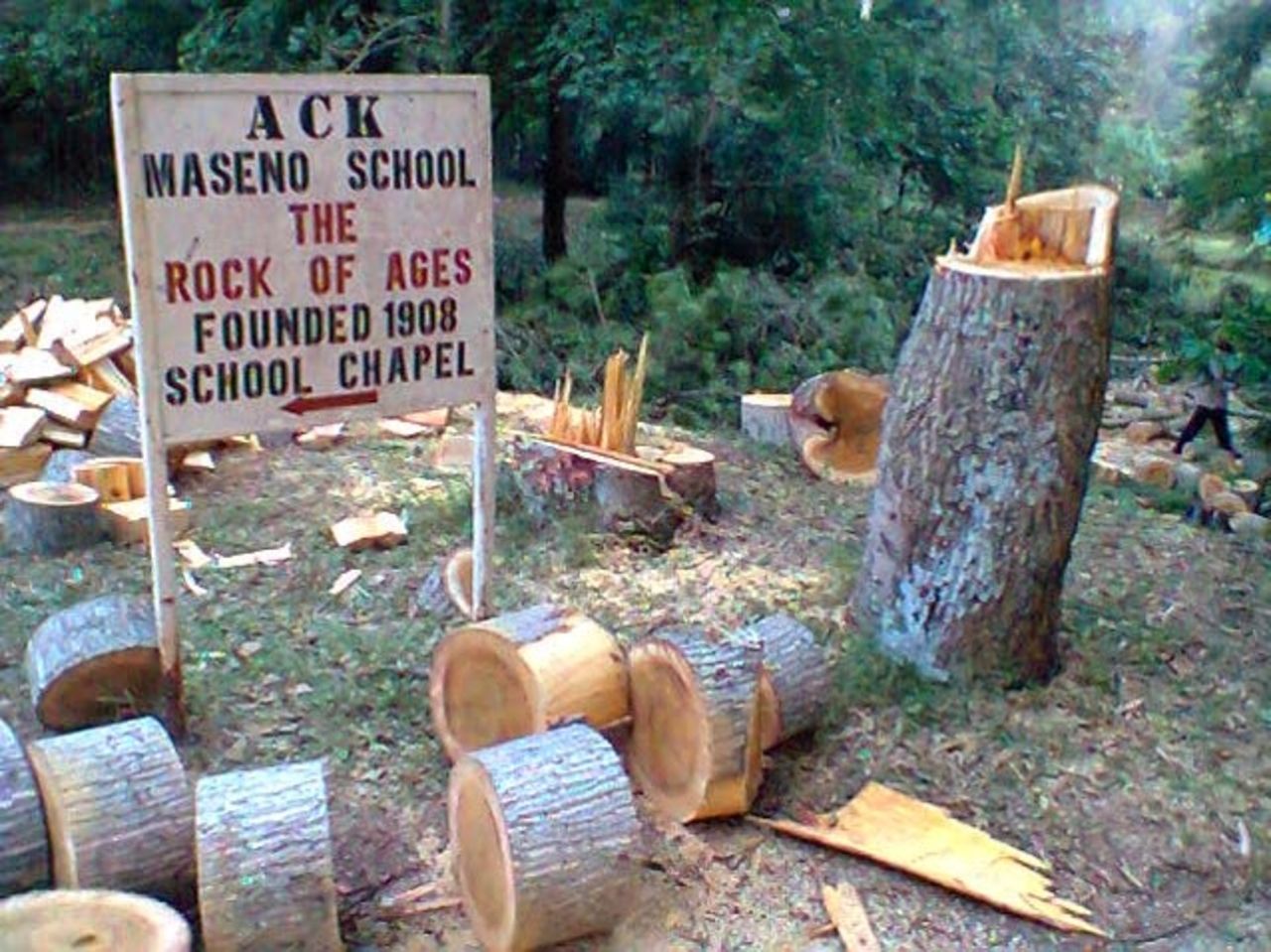 Mwasaru calculated that, per term, his school used 28 trucks of wood, or 196 tonnes to create enough energy to cook for all the students. This demand for timber caused problems with the local community who collected firewood from the same forest.