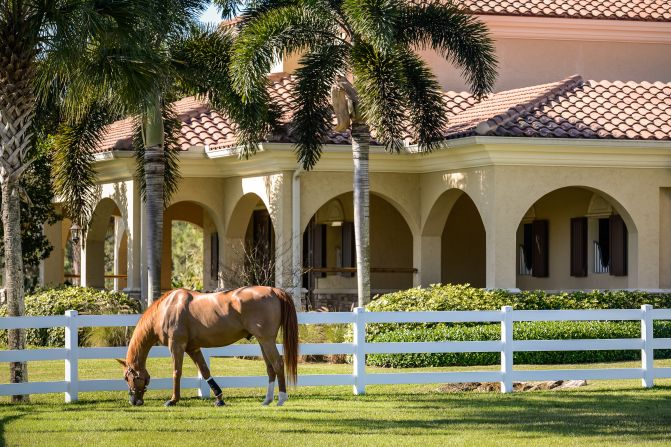 Horses are free to roam in spacious paddocks, or there are numerous trails to ride around.
