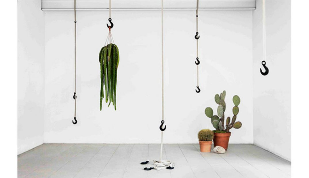 Ryan Frank creates new materials by combining grass fibers with recycled polypropylene. He then turns them into crane-like hooks for home use.