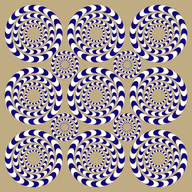 If you move your head while staring at these circles, they will appear to rotate or spin. But that movement is only an illusion.