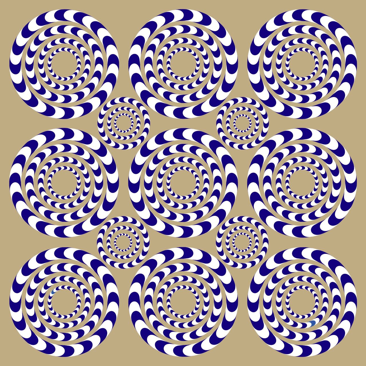 If you move your head while staring at these circles, they will appear to rotate or spin. But that movement is only an illusion.