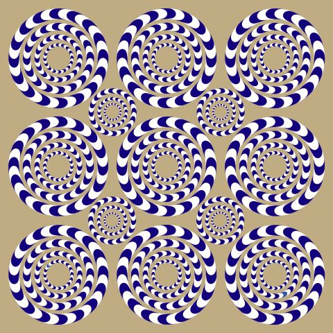 If you move your head while staring at these circles, they will appear to rotate or spin. But that movement is only an illusion.
