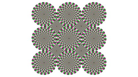 Same with these circles. Move your head around while staring at them, then hold your head still. The circles will appear to rotate briefly.