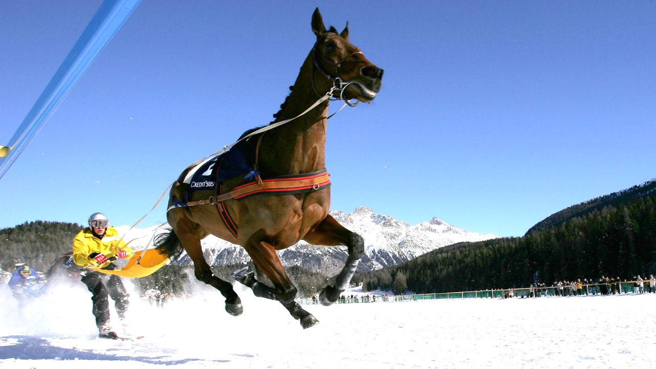 St Moritz hosts three horse skijoring races a year.