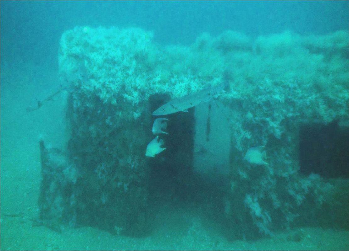 The subway cars provide a home for sea creatures. 