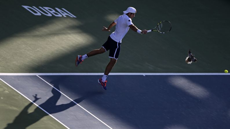 Simone Bolelli hits a backhand shot as a pigeon flies over the court Wednesday, February 25, during a match at the Dubai Duty Free Tennis Championships.